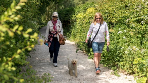 Image shows two women walking their dog along a gravel path surrounded by green hedgerows.